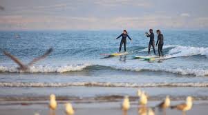 téléchargement (2)